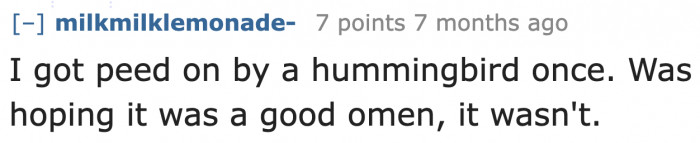 Unfortunately, getting peed on by a hummingbird doesn't bring good luck.