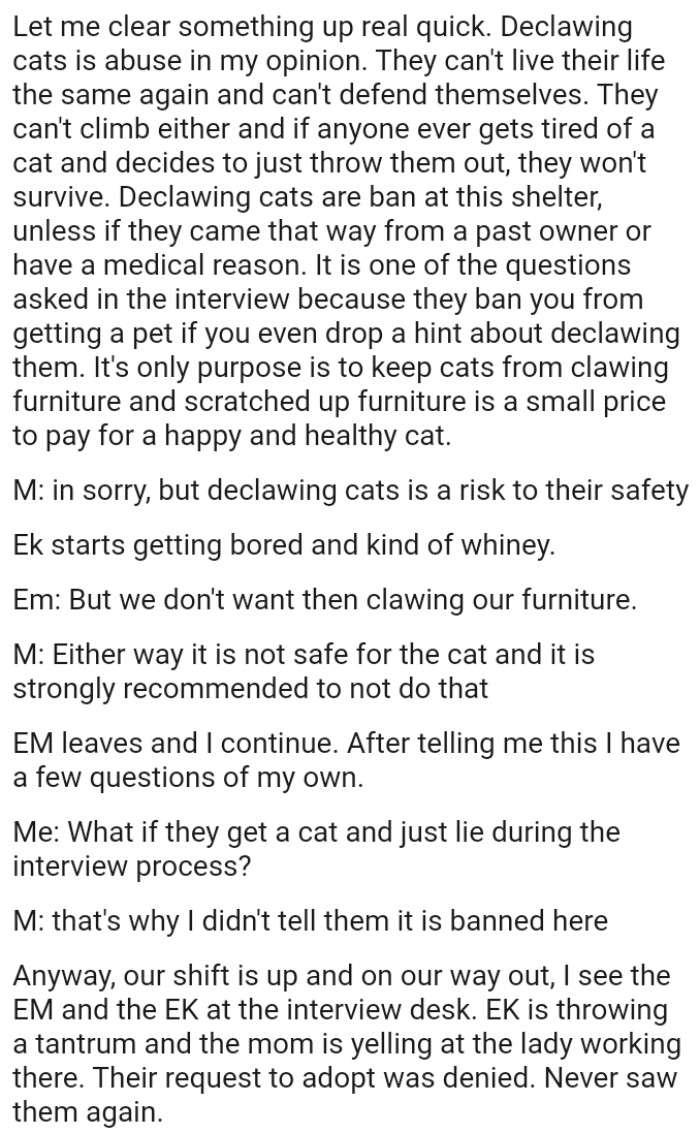 Scratched-Up Furniture Is a Small Price to Pay for a Happy and Healthy Cat