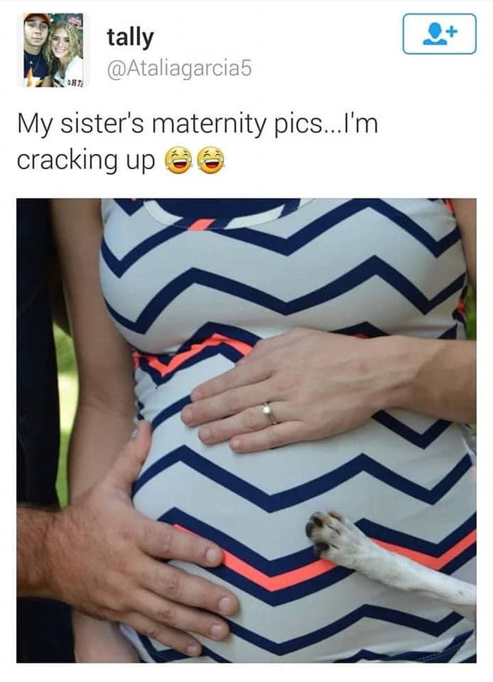 Dog wants to feel the kicking baby too!