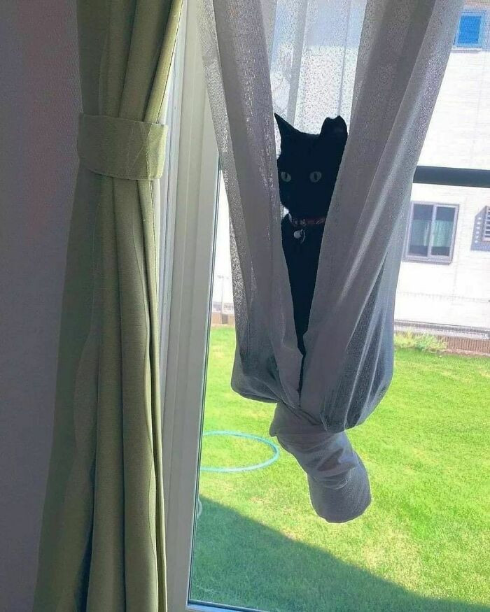 24. Nothing here, just chillaxing in this spot