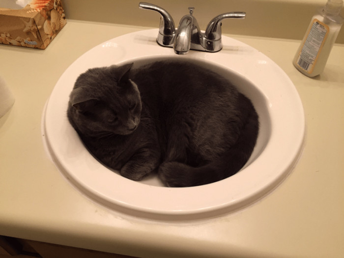 9. This is comfy to sleep in. I'll be coming here more often.