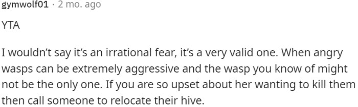 If OP is concerned about killing them, he could consider calling someone to relocate the hive.