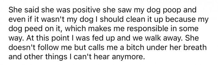 The woman kept insisting the poop originated from OP's dog and refused to change her mind.