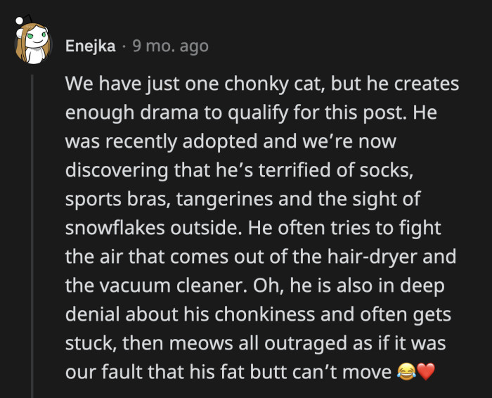 38. Big cat with a big personality and big fears