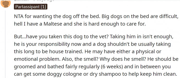 Redditors agree that it is completely understandable that she doesn't want the dog on her bed