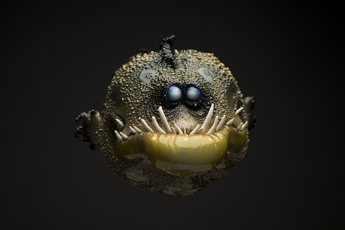 11. Here is a Hungry Zola