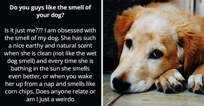 Man Wonders If He's The Only Person Who Appreciates A Dog's Smell, Turns To Reddit, And Finds Some Kindred Spirits