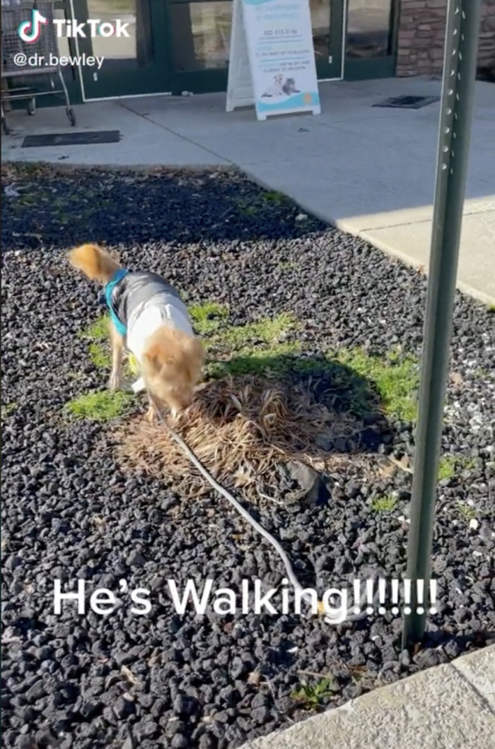 Not too long after he was found unable to move, Travolta is once again capable of walking on his own!