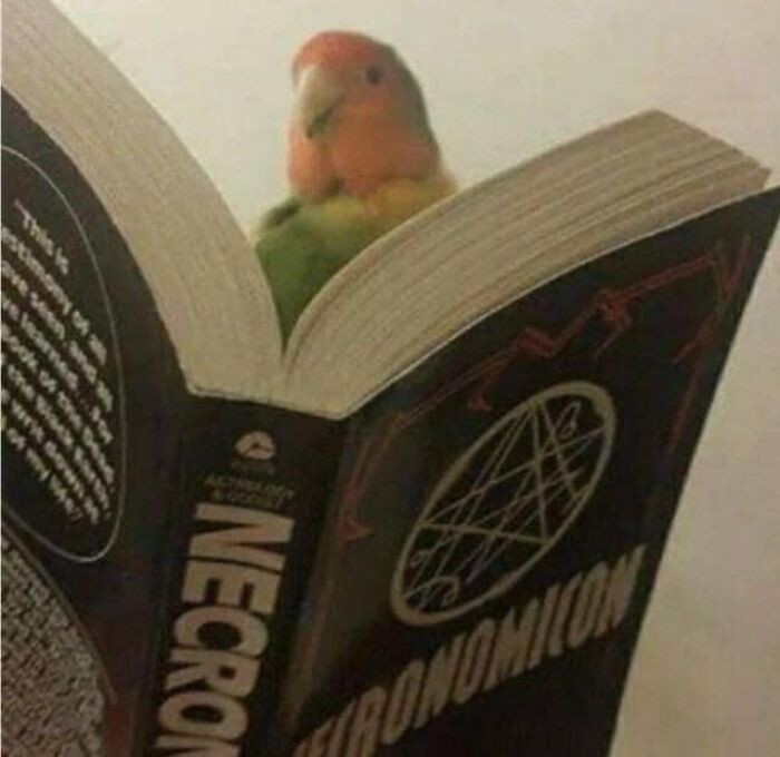 38. We might have a problem.