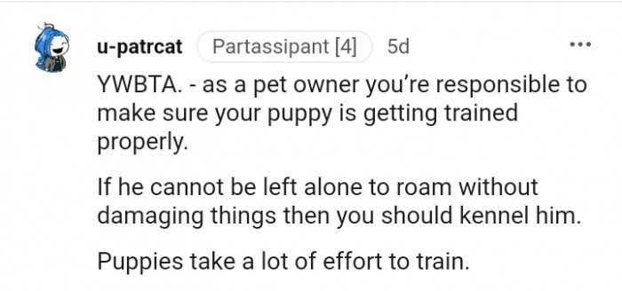 9. You should kennel the dog since it can't roam without chewing things