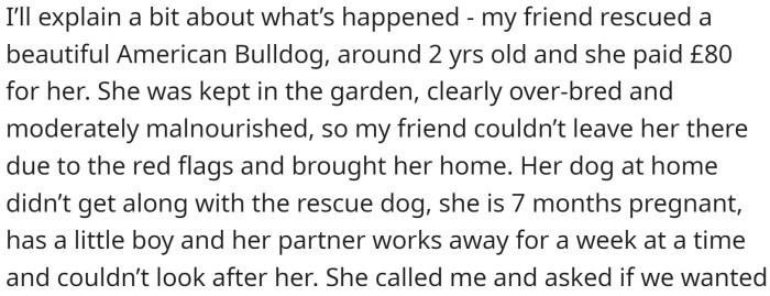 The OP's friend rescued an American Bulldog who was malnourished and overbred, paying £80 for her.