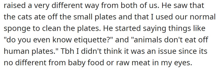 But their mother's boyfriend was disgusted when he saw they were using human cat plates:
