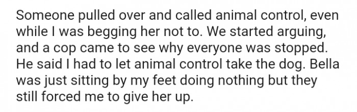 Bella was just sitting by