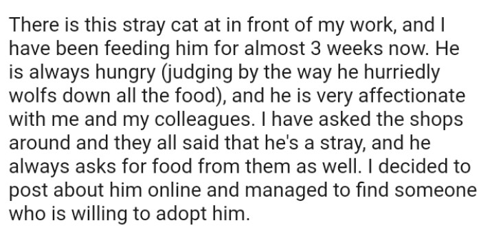 The OP has asked the shops around, and they all said that he's a stray