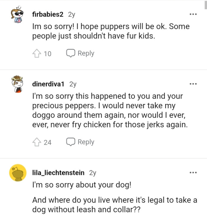 This Redditor would never take their dog around such people