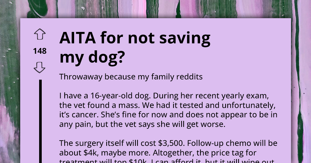Conflicted Redditor Asks If She's An A**hole For Not Wanting To Wipe Out Her Savings To Save Her Dog's Life