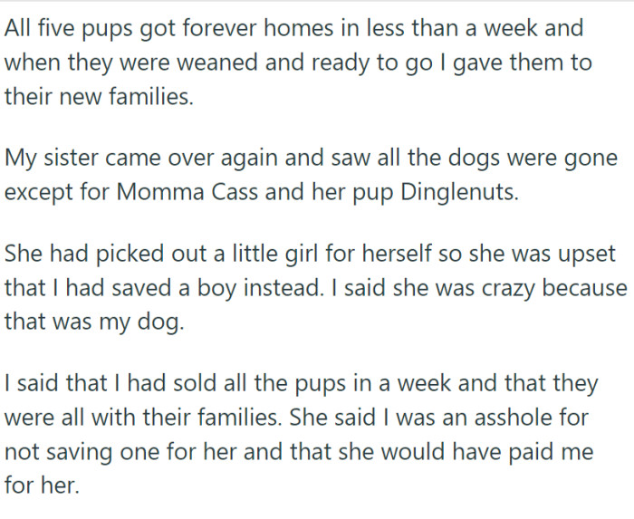 Her sister didn't want to pay for a puppy, and she was disappointed that OP didn't keep one for her