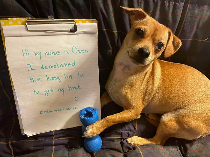 "I Really Wanted The Treat!"