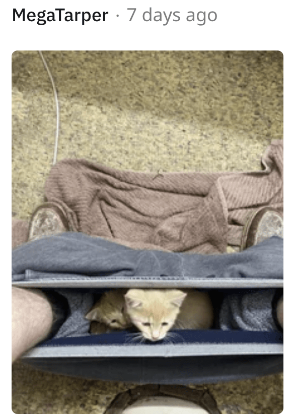 19. This is where we want to be