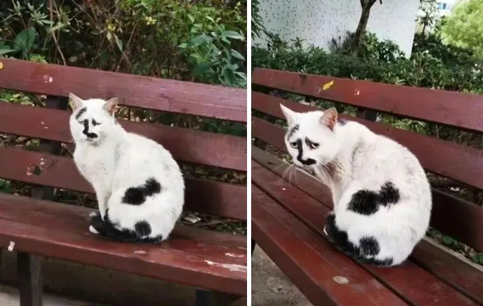 18. Crimes committed: none. Vibes given: pure existential crisis.