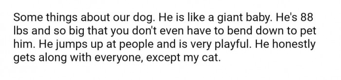 They get family or a friend to watch after their dog, who is a "giant baby"