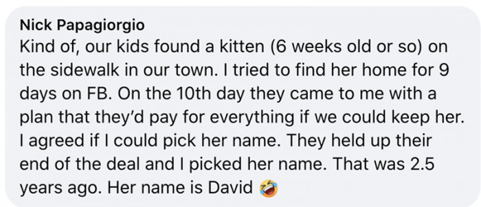 6. A kitten that I named David