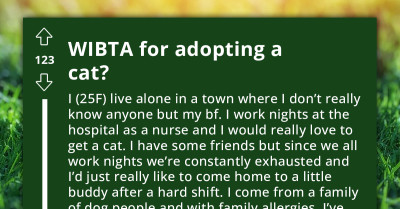 Allergic Brother Feels Entitled to Oppose Sister's Decision to Adopt a Cat, Even Though He Never Visits