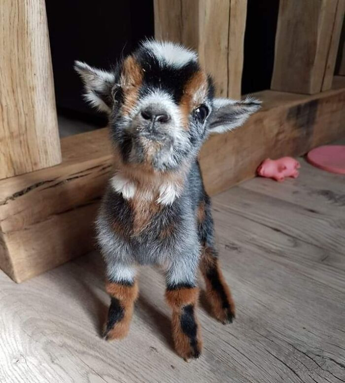 47. Whacchu Lookin' At, Peasant?