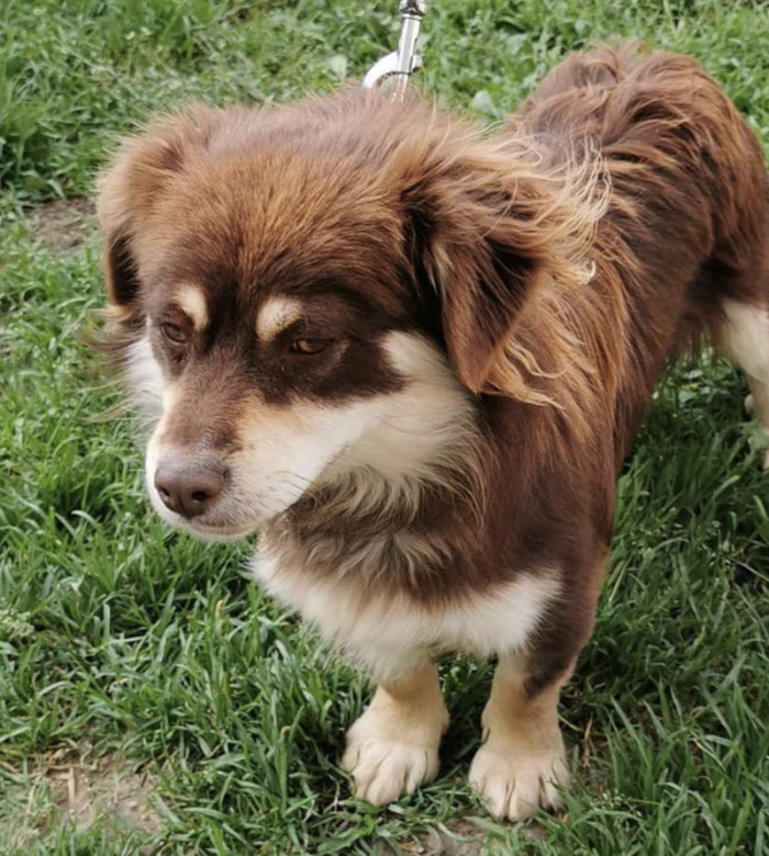 12. Everyone, meet Eddy