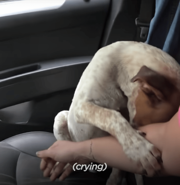 He expresses immense gratitude for finally having a caring family and a place to call home.