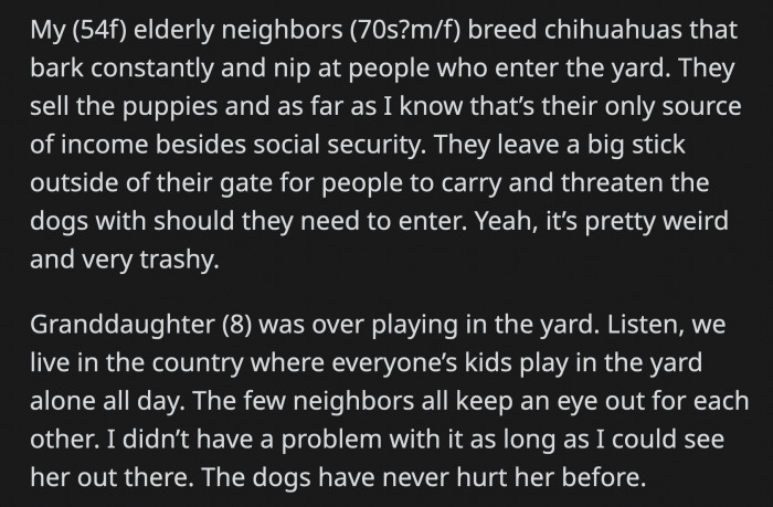 The neighbor's dogs haven't bitten anyone before as far as OP knows but she immediately rushed out to her granddaughter's aid