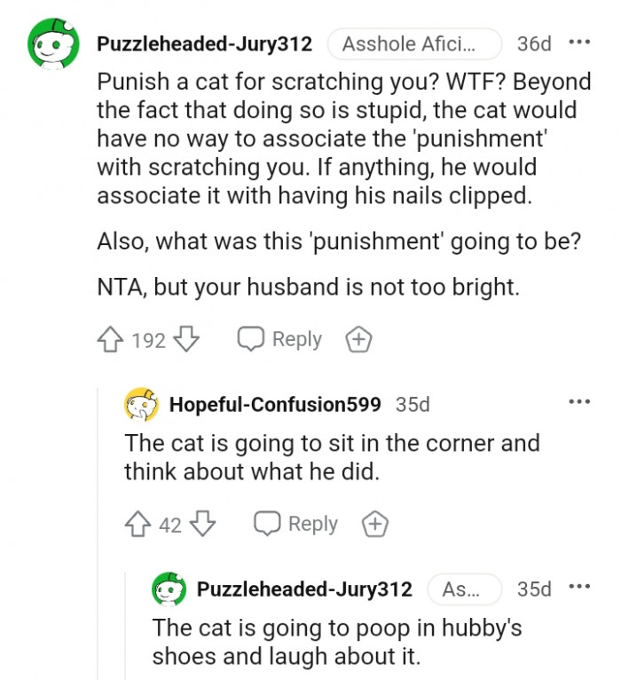 The cat has no way to associate the punishment with scratching you