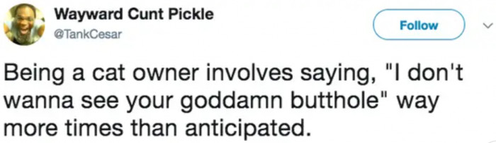 9. But it's a small sacrifice for such a magnificent creature.