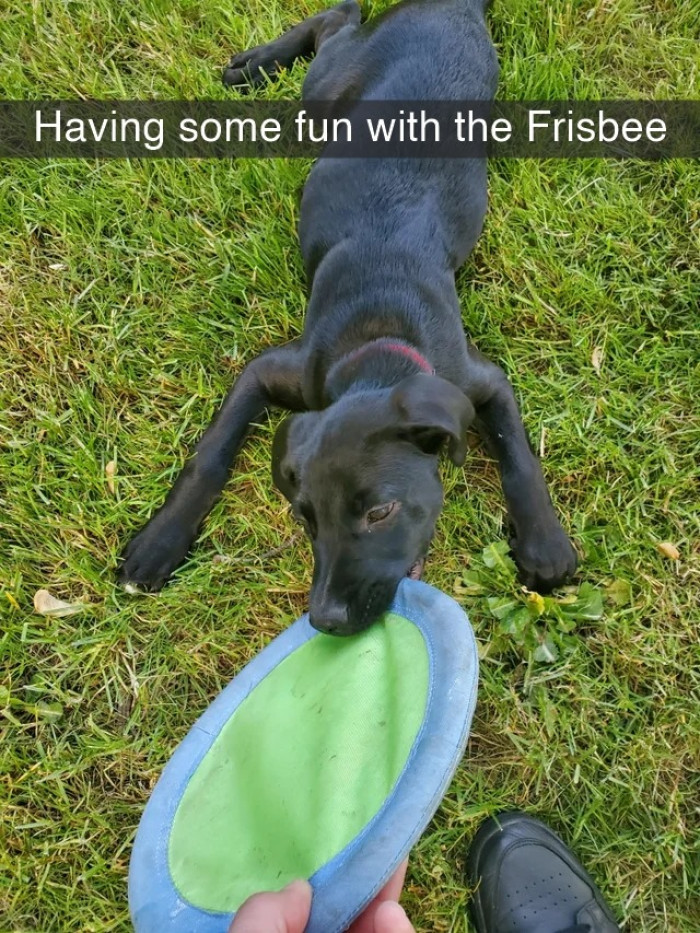 3. Just wanna have some fun, hooman