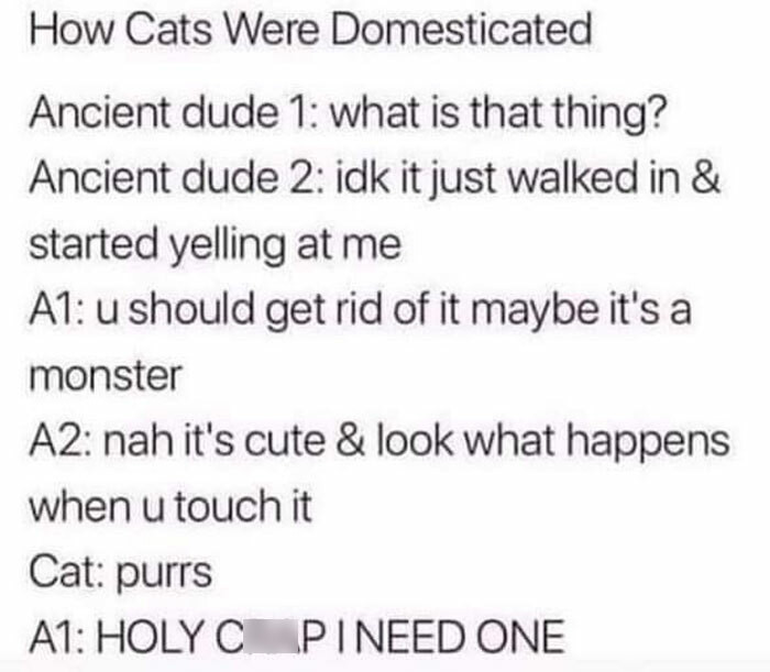 21. How cats were domesticated...