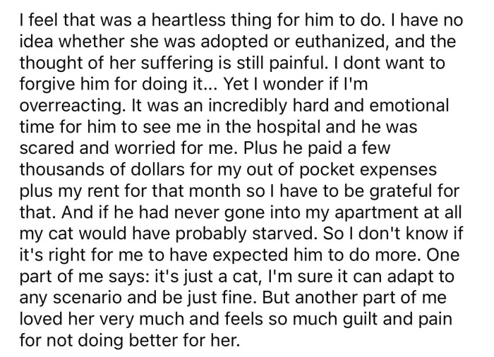 OP still doesn't know where her cat ended up and is afraid she might be suffering.