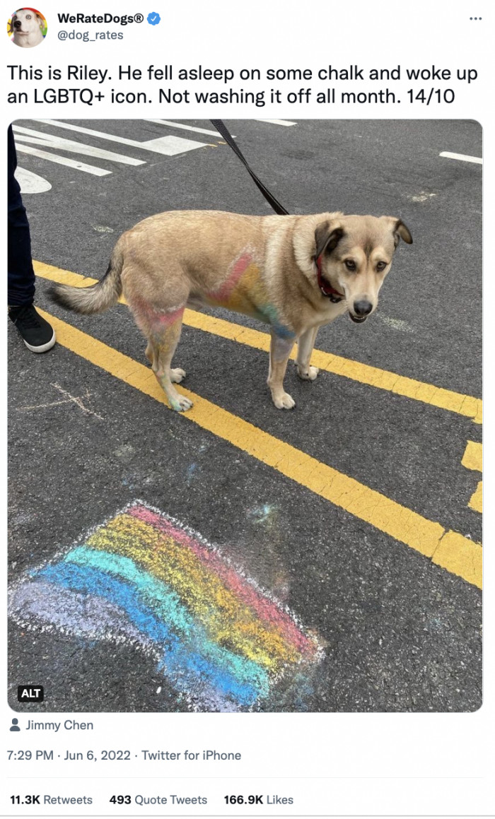 5. They're happy to support us.