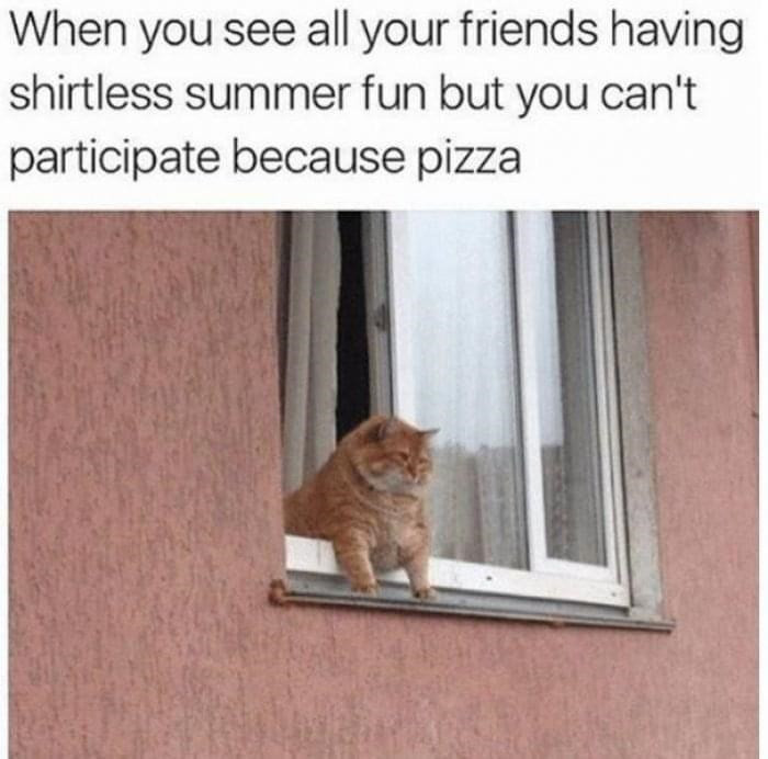 21. This cat is definitely cute