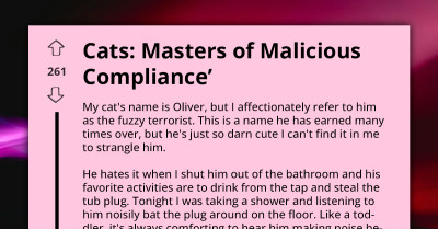 Man Shares Intriguing Story Which Proves That Cats Are Masters Of Malicious Compliance