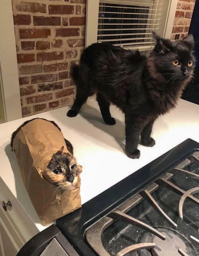 30. There Are Two Types of People