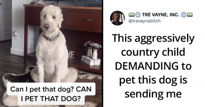 10 Adorable Posts That Prove Dogs Are The Best