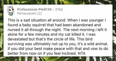 Family Drama Ensues After Siblings Rescue Baby Blue Jay