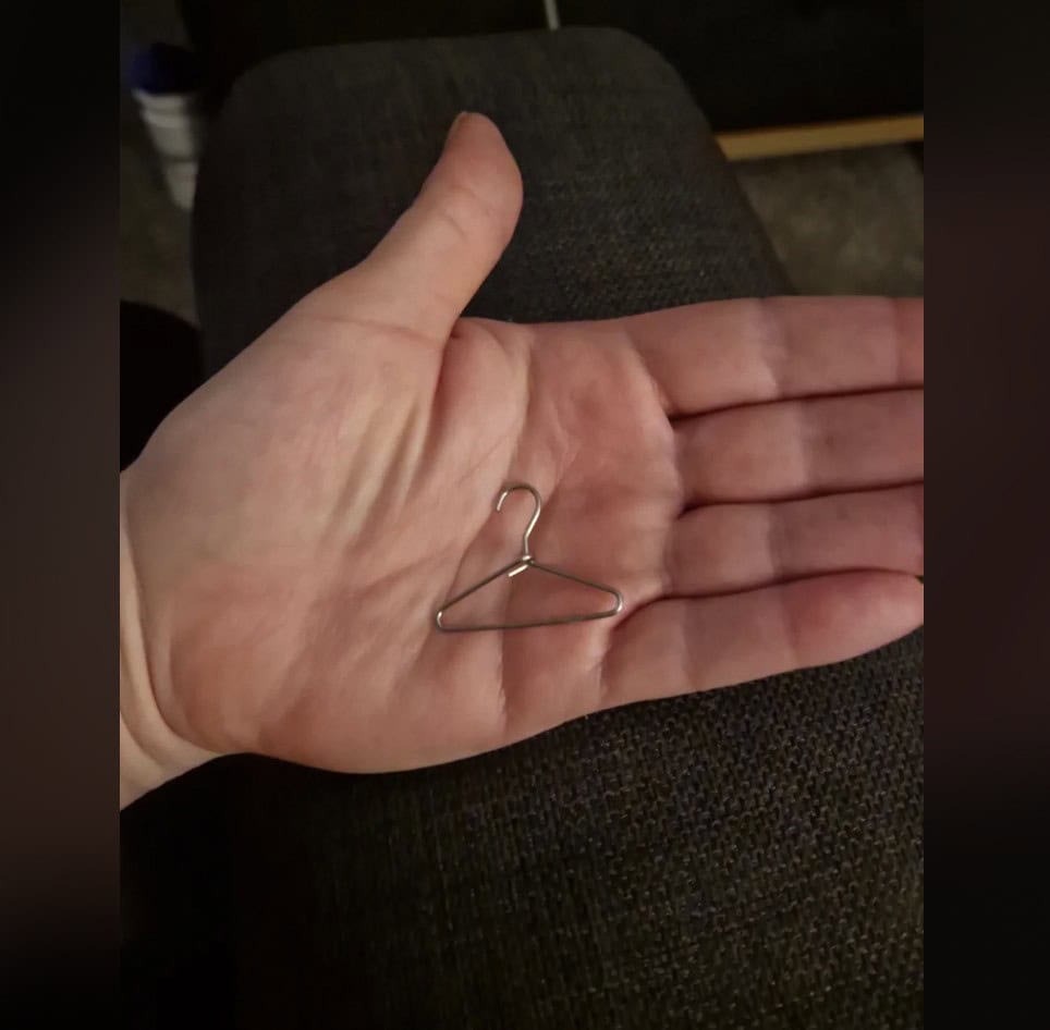 21. “What is this, a coat hanger for ants.”