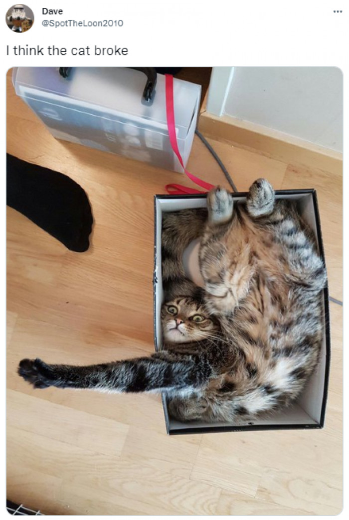 19. "Just got stuck for a moment, but I'm comfy now."