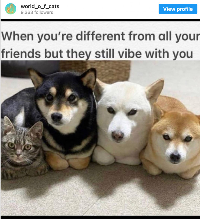 17. Vibing together is so much fun!