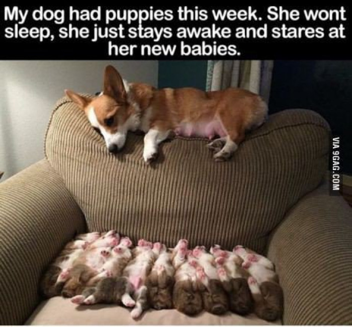 This momma's obsessed.