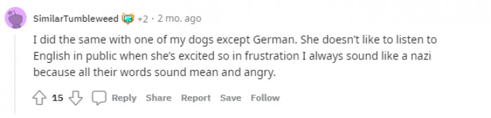 "I did the same with one of my dogs, except German."