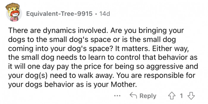 "You are responsible for your dogs behavior."