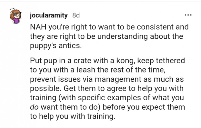 Putting the pup in a crate with a Kong