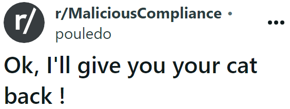 The OP, concerned about the neighbor's cat, consistently lets it into his home because the owner believes it's acceptable to leave it outside while she's away.